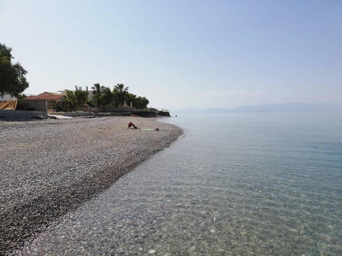 Olea Apartments Xylokastro Dış mekan fotoğraf